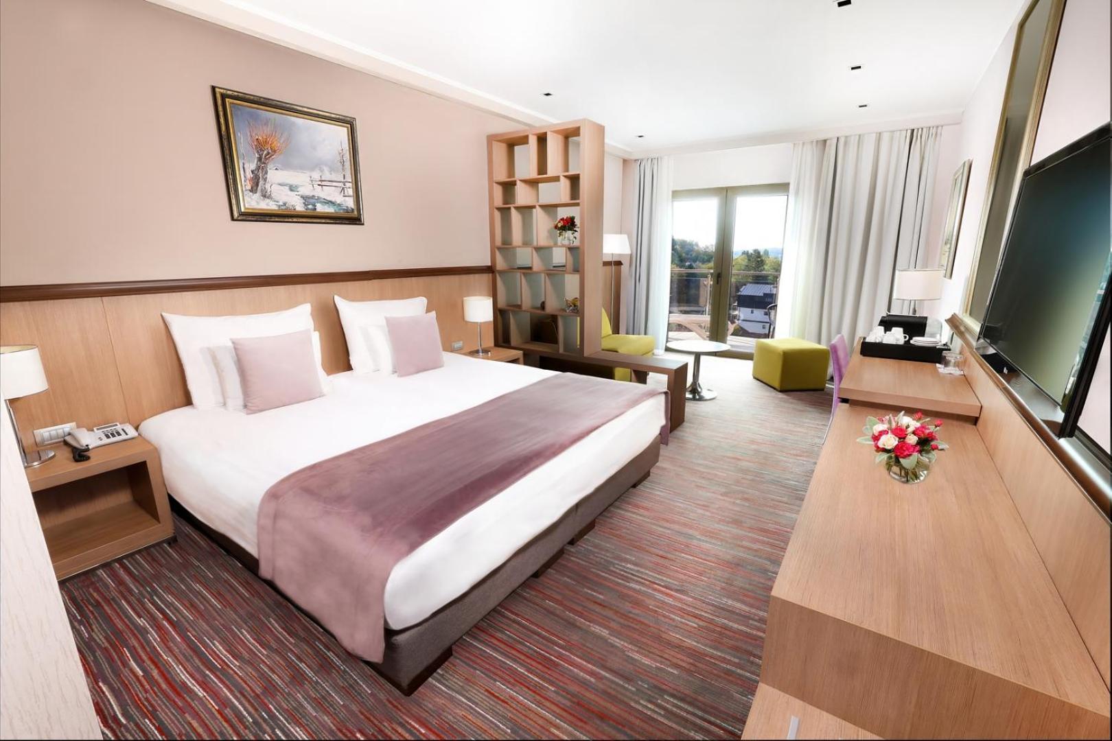 Hotel Premier Aqua - Adults Only Vrdnik Room photo A typical hotel room